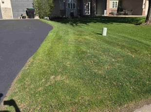 Cleanups by Jamie Borden for Zach M. in Andover, MN