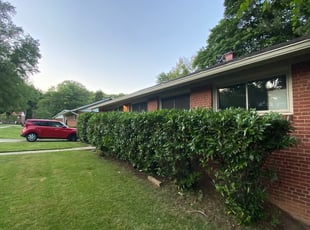 Bush Trimming by Thomas Harner IV for Lenny S. in Rockville, MD