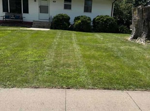 Crystal E.'s Lawn Mowing service result