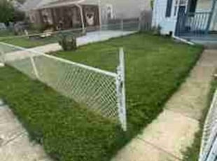 Douglas C.'s Yard Cutting service result