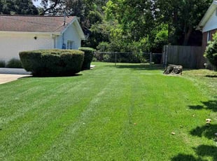 Lindsay T.'s Lawn Care service result