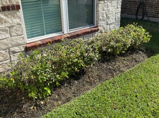 Weeding by Chris Taylor for Gina E. in Houston, TX