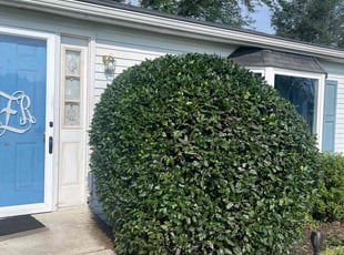 Vernon K.'s Bush Trimming service result