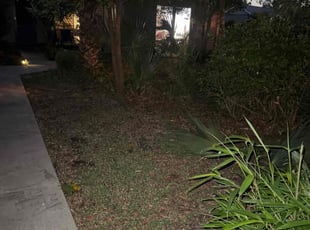 Bush Trimming by Jeremy Conner for Mandeville S. in Panama City, FL