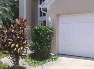 Emilia V.'s Bush Trimming service result