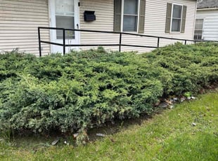 Bush Trimming by Arnan Valmont for Linda S. in Milwaukee, WI