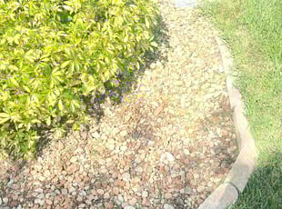 Weeding by Adela Converse for Melanie S. in Tampa, FL