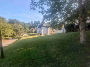 Walterina B.'s Lawn Maintenance service result