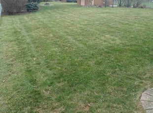 Jerry P.'s Lawn Mowing service result
