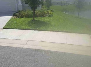 LexiΕ C.'s Lawn Service service result