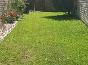 Stephany G.'s Lawn Mowing service result