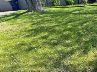 Deborah S.'s Lawn Service service result