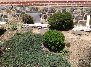 Bush Trimming by Kevin Malloy for Khalil M. in Wilmington, DE
