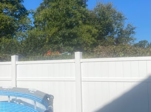 Bush Trimming by Matthew Cook for Fanny F. in Warwick, RI