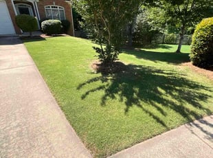 Nicole L.'s Lawn Care service result