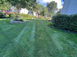 Lisa M.'s Lawn Mowing service result