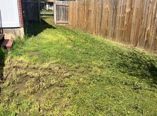 Leaf Removal by Noah Fiechtner for Alexey A. in Round Rock, TX