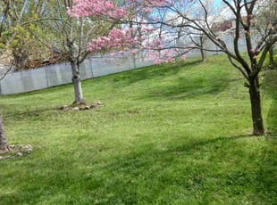 Maureen O.'s Lawn Mowing Service service result