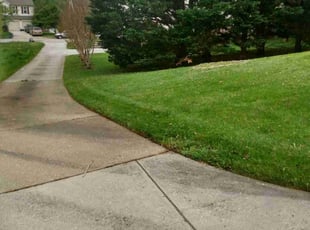 evelyn c.'s Lawn Care service result