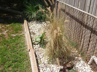 Weeding by Scott Bensing for Denise H. in Holiday, FL
