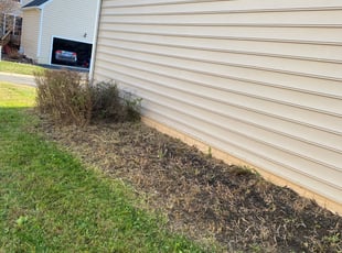 Bush Trimming by Eduardo Flores Rodriguez for Vygngley M. in Chantilly, VA