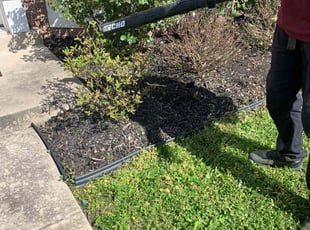 Weeding by Kenny Bratton for Beth W. in Odenton, MD