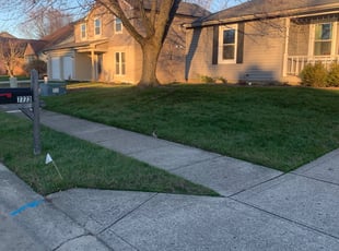 Leaf Removal by Shelby McIntire for Jesse B. in Indianapolis, IN