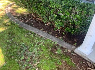 Bush Trimming by Jahi Scott for Carla W. in Madison, AL