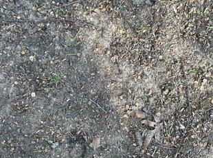 Aeration by James Ziobro for Michael C. in Cary, NC