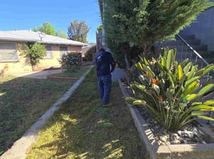 Weeding by Roberto Medina for Melinda W. in San Diego, CA