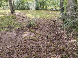 Mike E.'s Cleanups service result