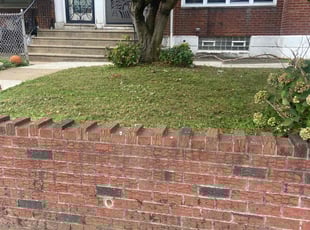 Sharon F.'s Yard Cutting service result