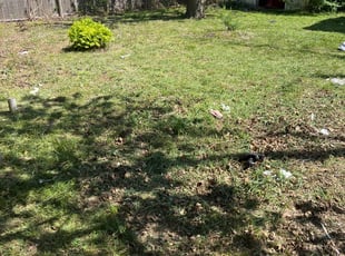 Cleanups by Adrien Peterson for Brandi R. in Oklahoma City, OK