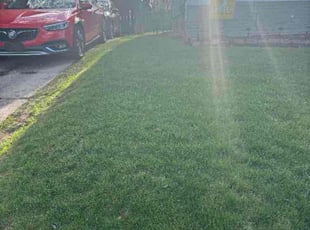 Thomas J.'s Grass Cutting service result