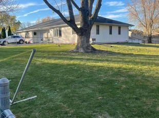 Leaf Removal by Jose Sanchez for Emma L. in Aurora, IL