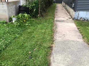 Gracie h.'s Cleanups service result