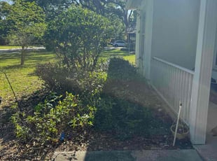 Bush Trimming by Karol Frisancho for Meyling R. in Sanford, FL