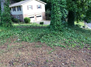 Bush Trimming by Keith Barclay for Miranda M. in Marietta, GA