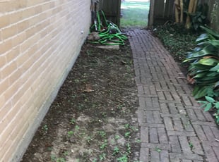 Leaf Removal by Jesus Hernandez for Christina V. in Houston, TX