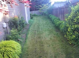 Linda B.'s Grass Cutting service result