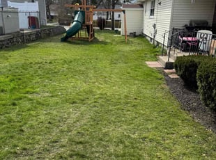 Cleanups by Tim Ricci for Rosemary S. in Worcester, MA