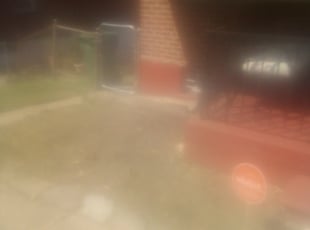 Weeding by Bernard Frampton for Ada T. in Baltimore, MD