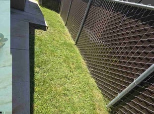 Heidi N.'s Lawn Service service result