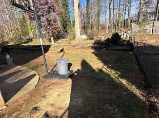 Leaf Removal by Fidel Rodriguez for Sarah P. in Springfield, VA