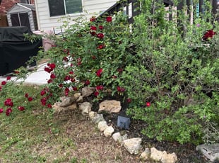 Leaf Removal by Eugene Cervantez for Rodrick J. in San Antonio, TX