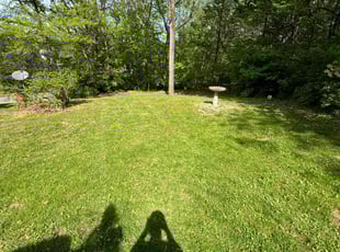 Penelope B.'s Lawn Mowing Service service result