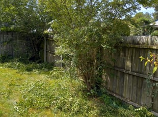 Bush Trimming by Terrill Williams for Eric T. in Chesapeake, VA