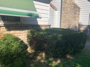 Bush Trimming by Edgar Hernandez for Joe A. in Columbus, OH