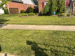 Vickie S.'s Lawn Mowing Service service result