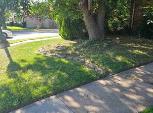 Anika B.'s Cleanups service result